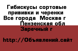 Гибискусы сортовые, прививки и черенки - Все города, Москва г.  »    . Пензенская обл.,Заречный г.